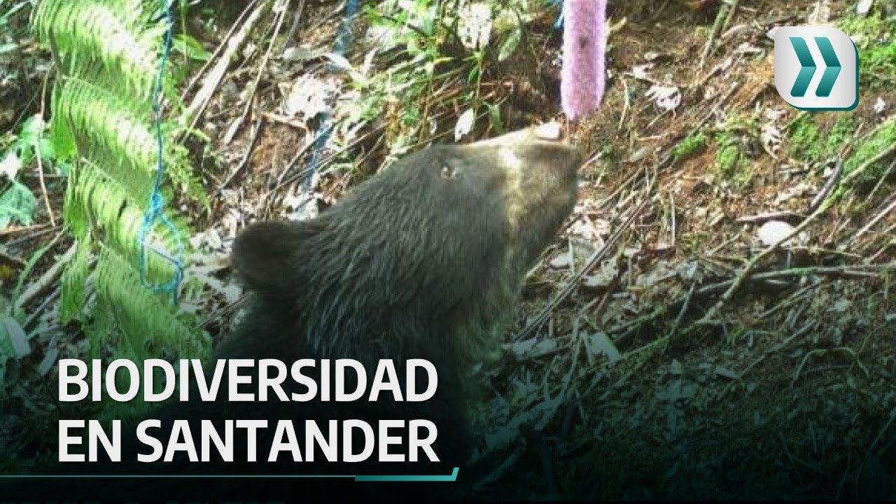 biodiversidad-en-Santander - Norte Noticias 24h biodiversidad en Santander