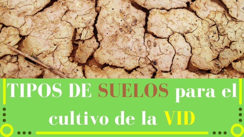 tipo de suelo en Bilbao