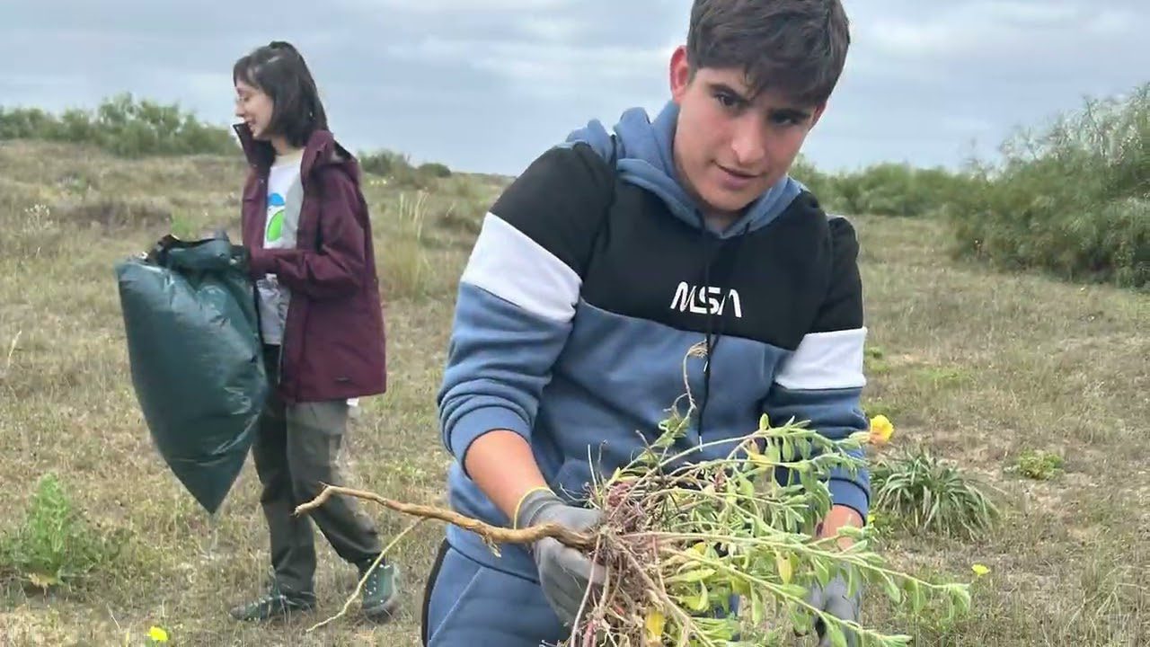 biodiversidad-en-San-Sebastian - Norte Noticias 24h biodiversidad en San Sebastián
