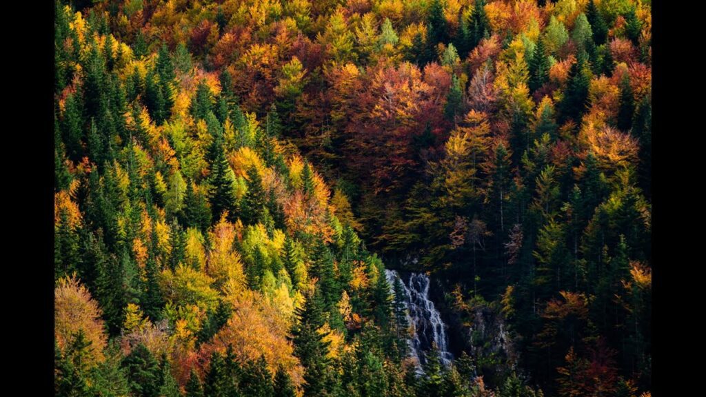 productos típicos de Huesca en otoño