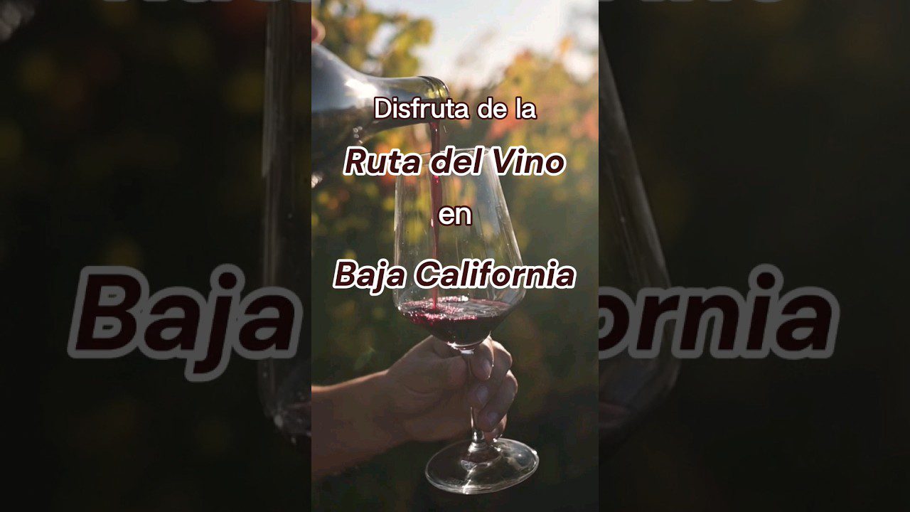 rutas del vino por Torrelavega en temporada baja