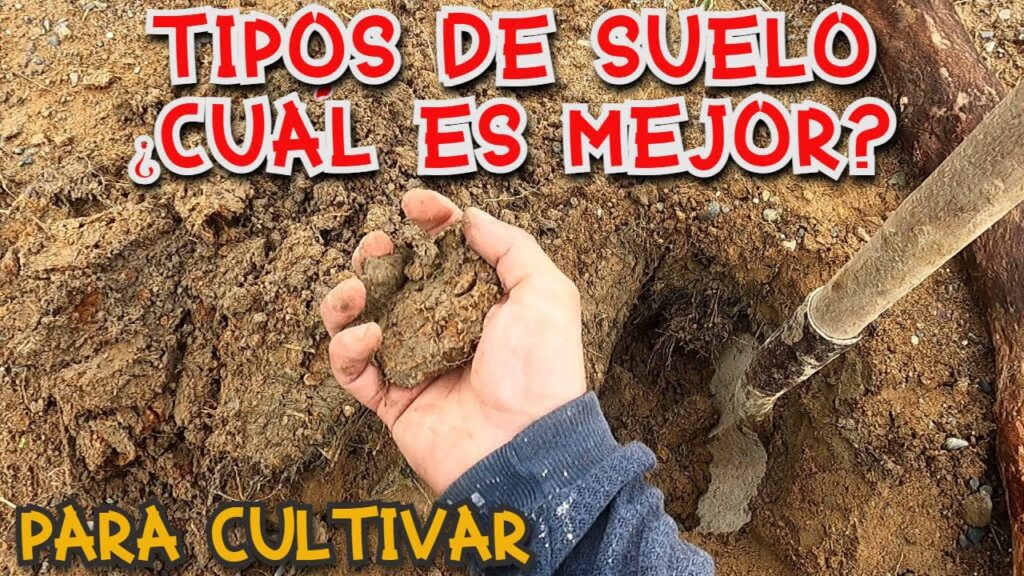 tipo de suelo en Pamplona