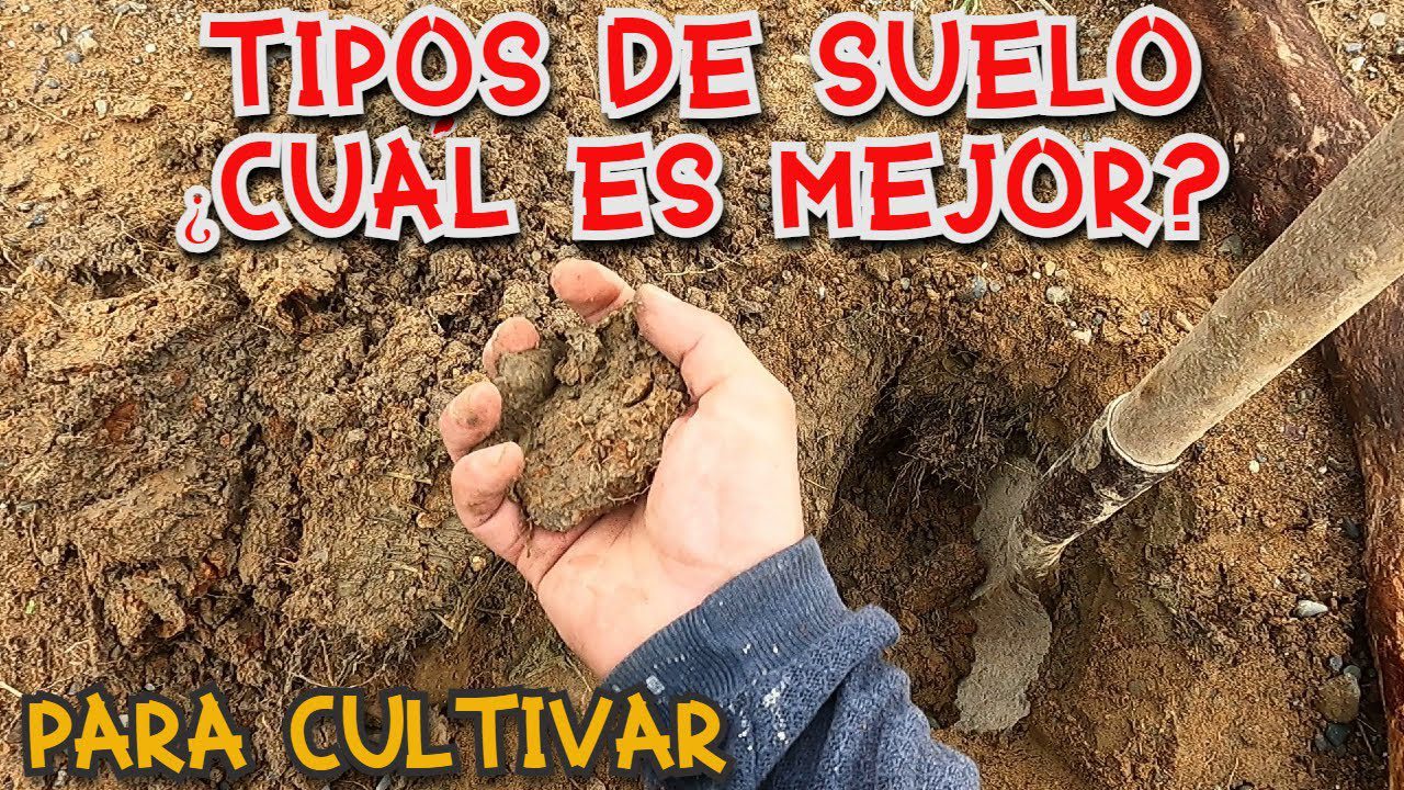 tipo de suelo en Pamplona
