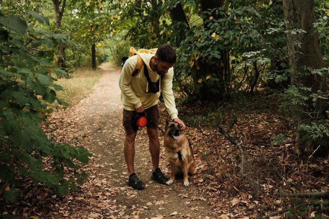775317 Adiestrador canino - Norte Noticias 24h Man in a light hoodie kneels on a leaf-strewn forest path to pet his dog with a leash in hand. nearby backpack and gear visible on the man.