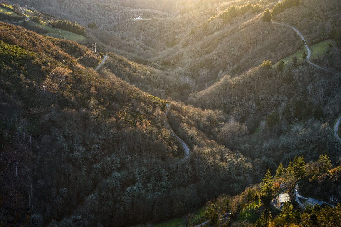 Late evening light over the forests in the valley of San RomAn de Cervantes - Norte Noticias 24h Aerial view of a forested valley with winding roads and power lines across rolling hills at sunset.